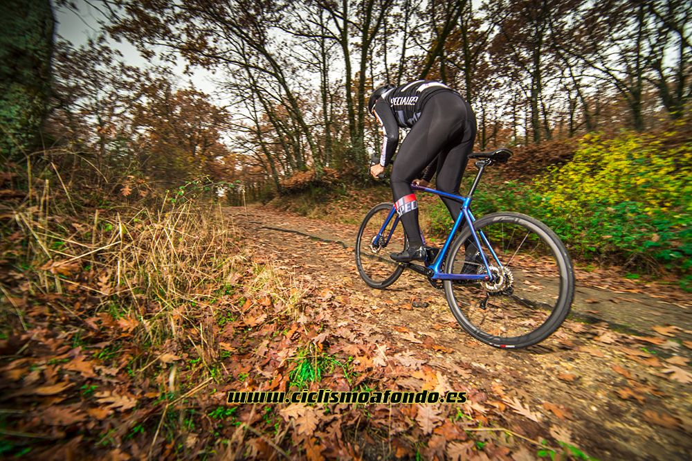 Prueba: Specialized Roubaix Pro