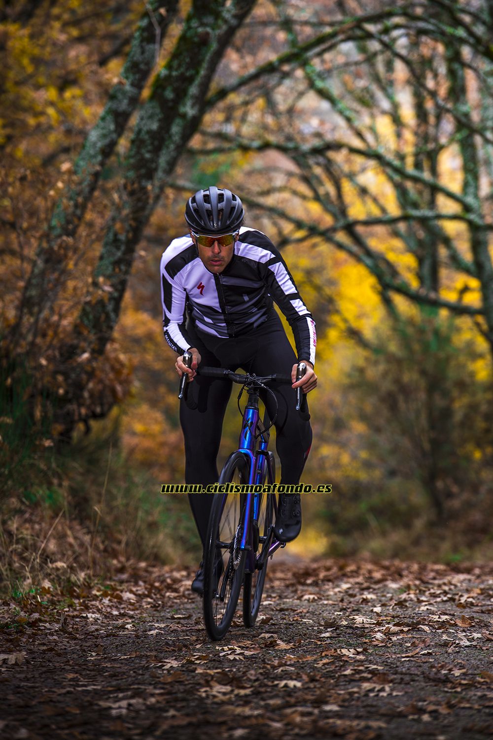 Prueba: Specialized Roubaix Pro