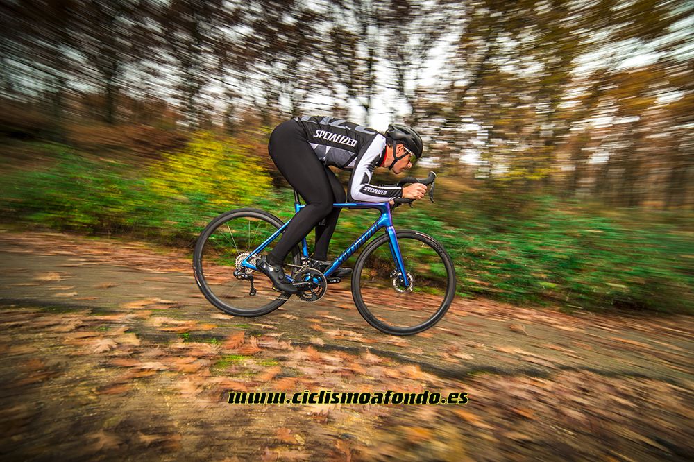 Prueba: Specialized Roubaix Pro