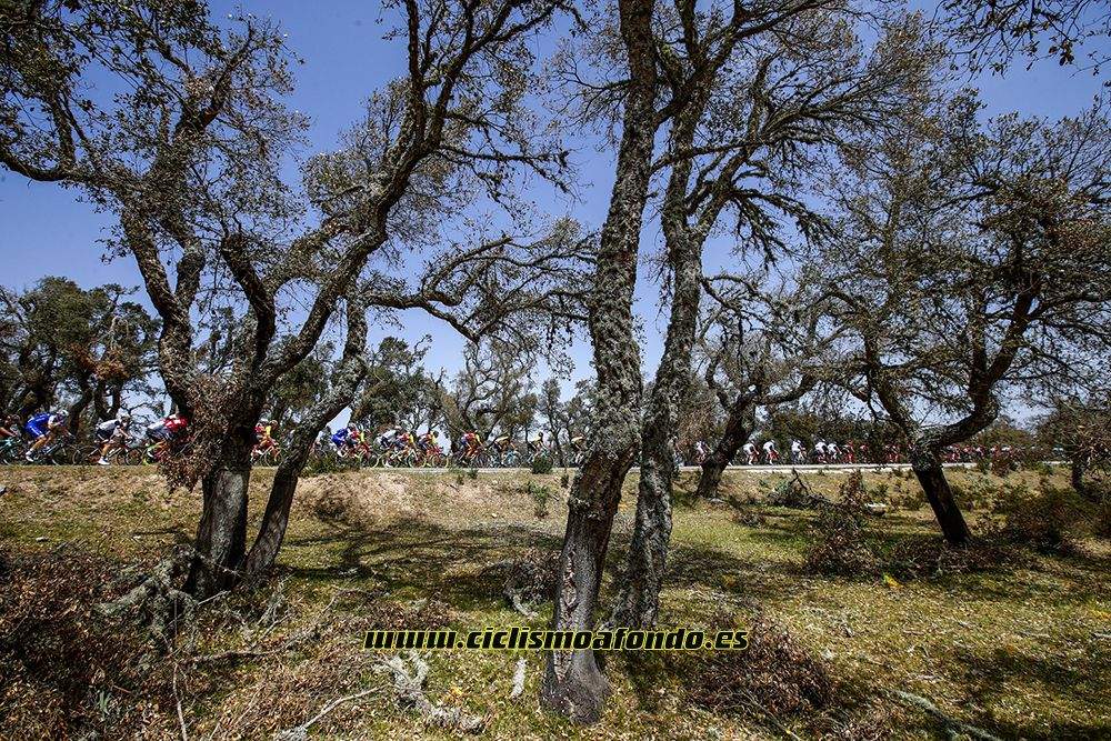 Las mejores fotografías de la 2º etapa del Giro de Italia 2017