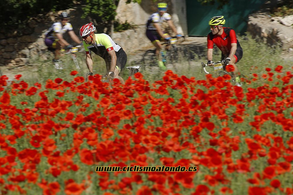 Ciclismo a Fondo Challenge - Valles de la Alcarria