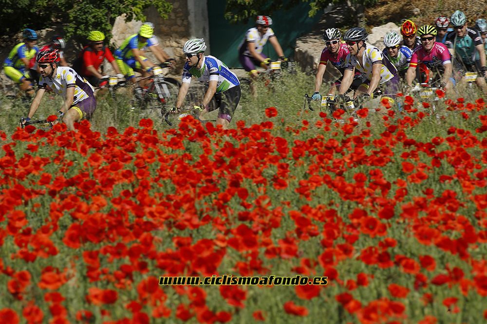 Ciclismo a Fondo Challenge - Valles de la Alcarria