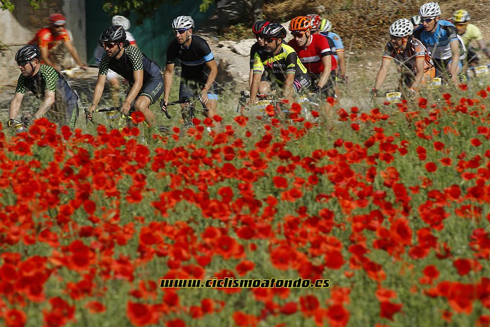 Ciclismo a Fondo Challenge - Valles de la Alcarria