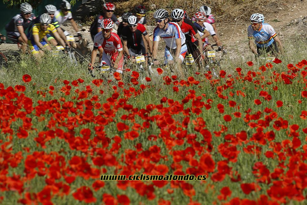 Ciclismo a Fondo Challenge - Valles de la Alcarria