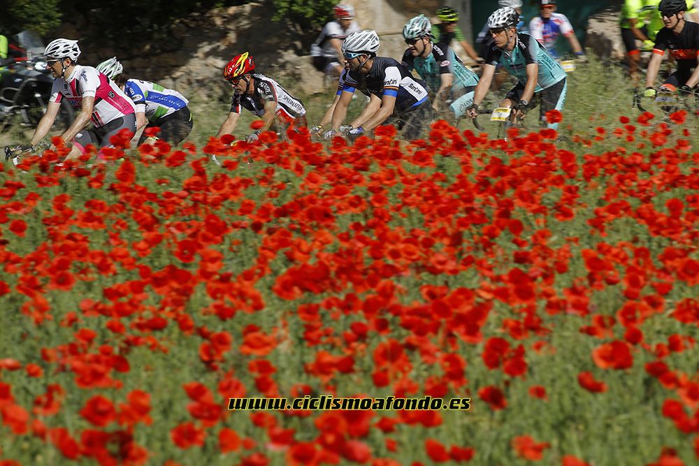 Ciclismo a Fondo Challenge - Valles de la Alcarria