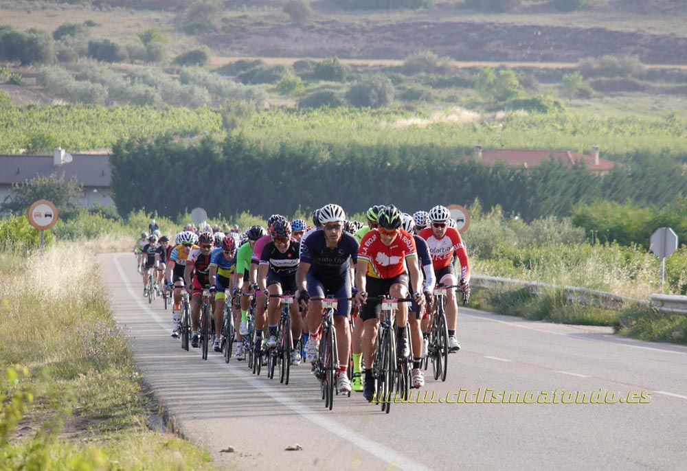 Marcha Rioja 2017-1