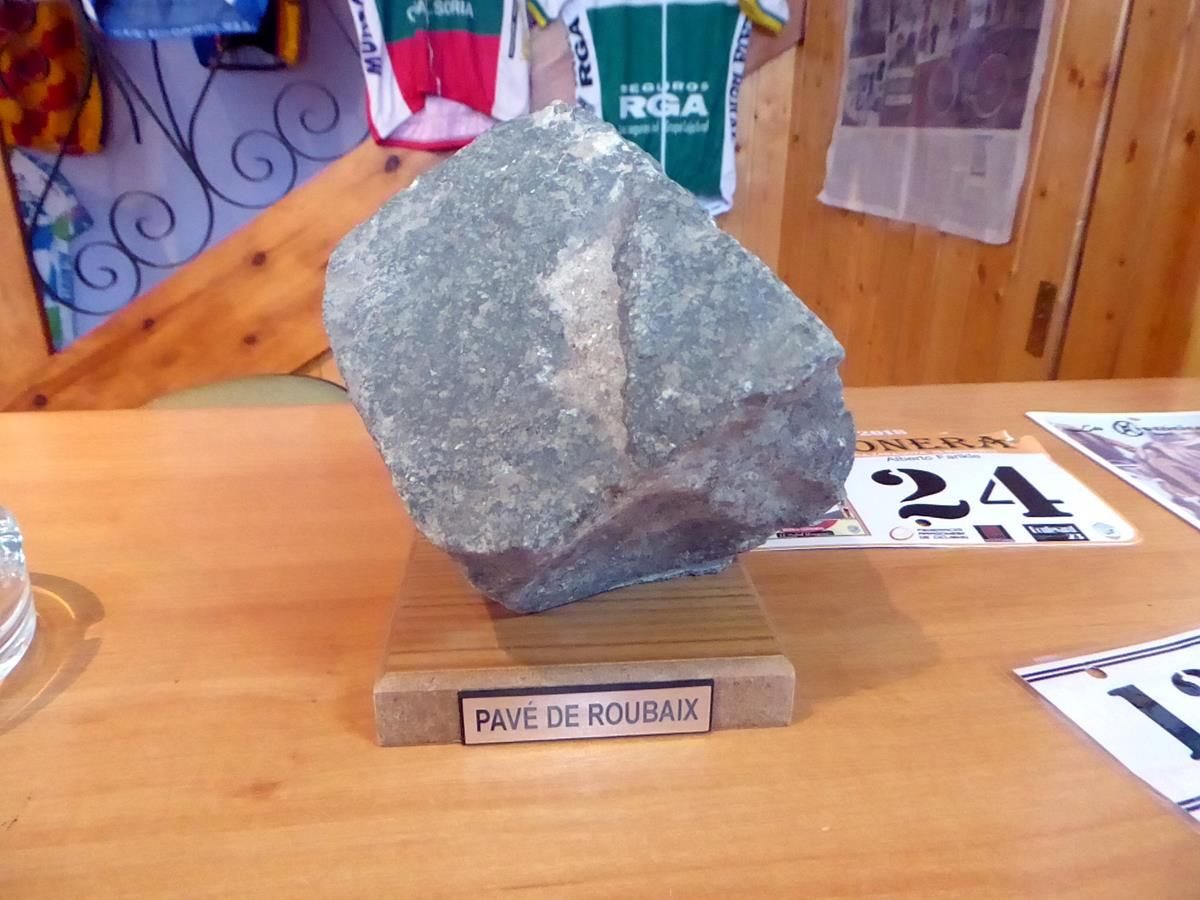 Zeus y boletus 1