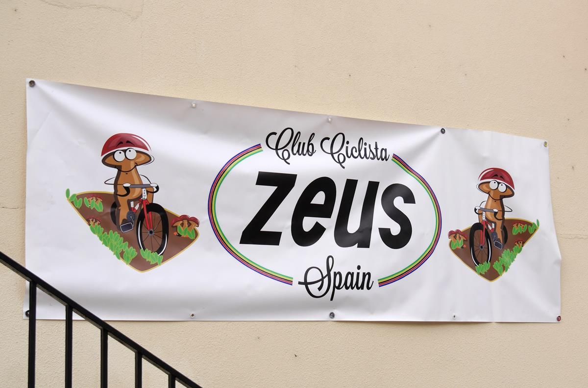 Zeus y boletus 1