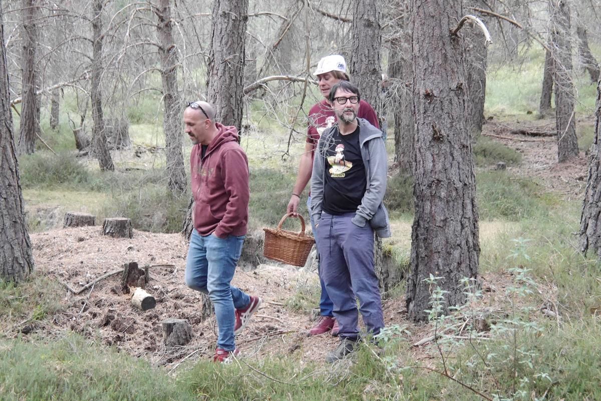 Zeus y boletus 1