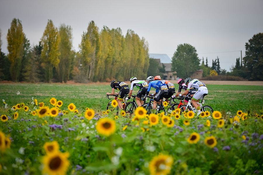 La París-Tours de los viñedos