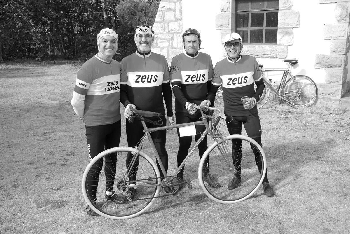 Zeus boletus 10