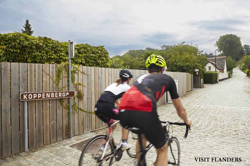 Flandes en verano
