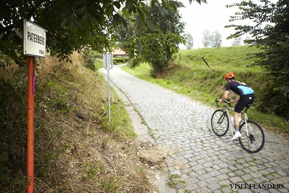 Flandes en verano