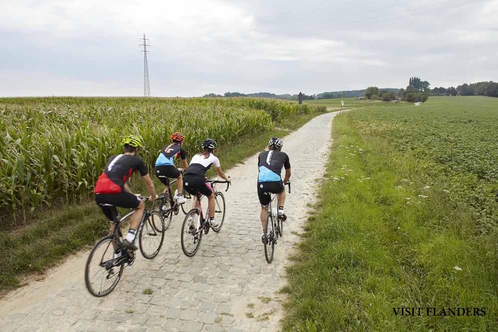 Flandes en verano
