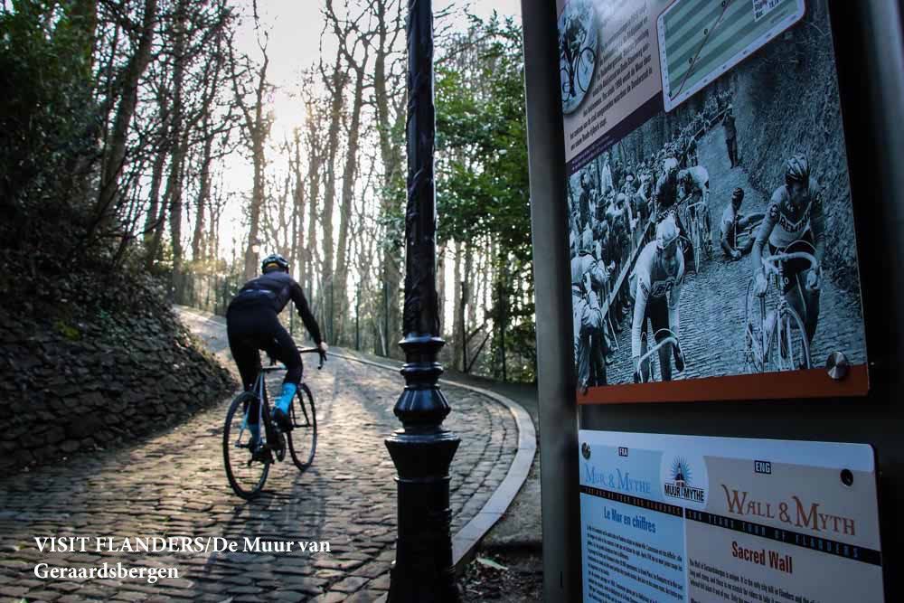 Flandes en verano