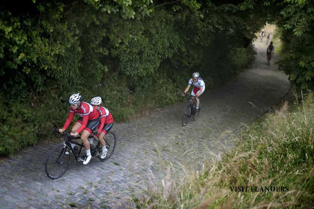Flandes en verano