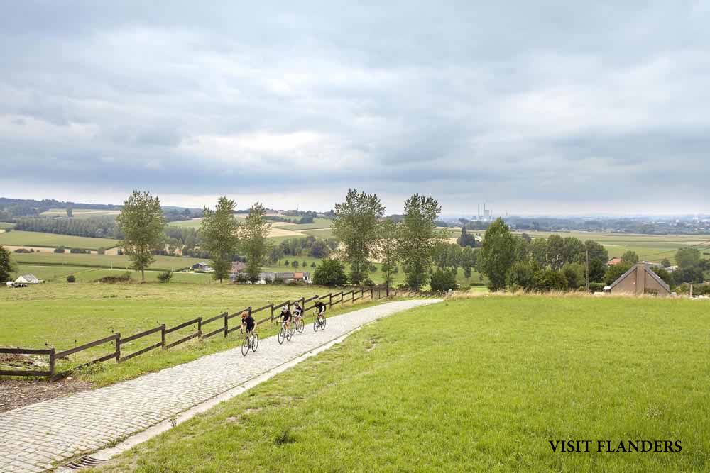 Flandes en verano