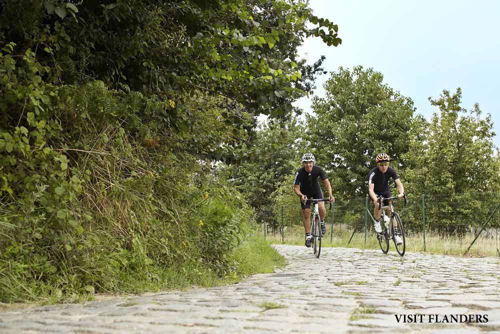 Flandes en verano