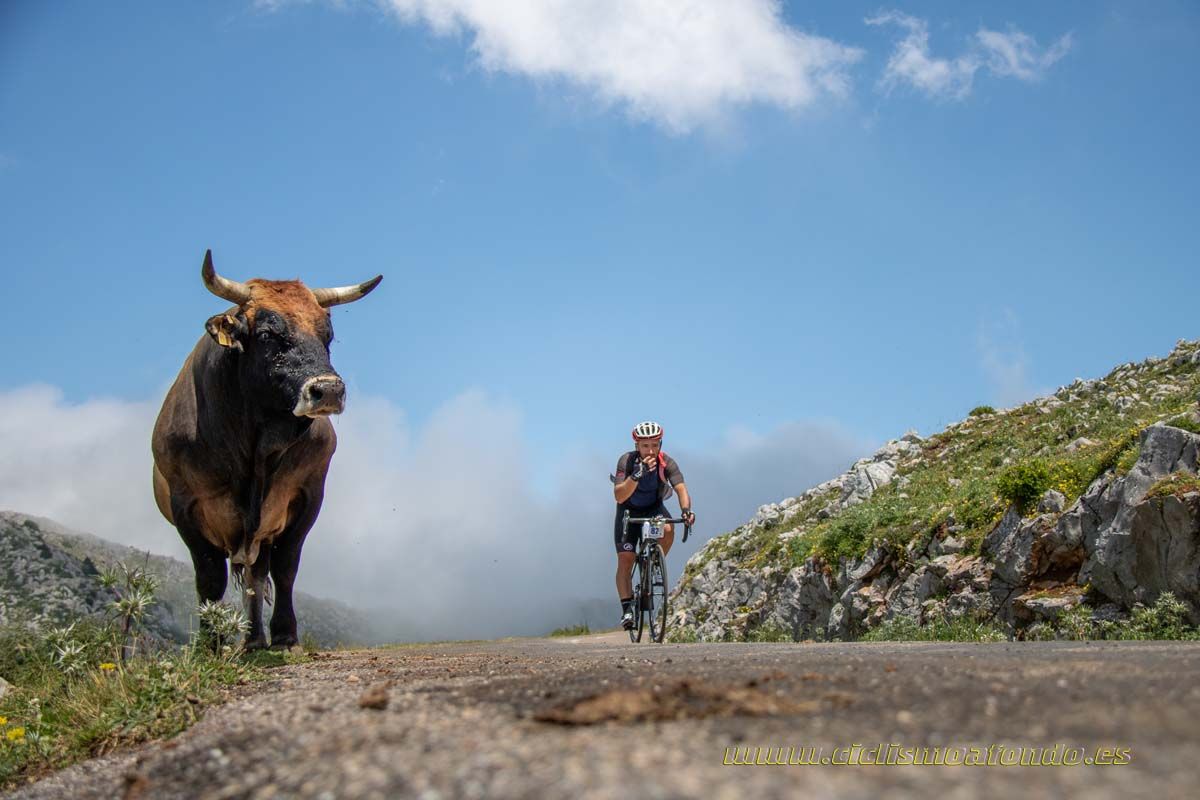 Clásica Cicloturista Angliru 4