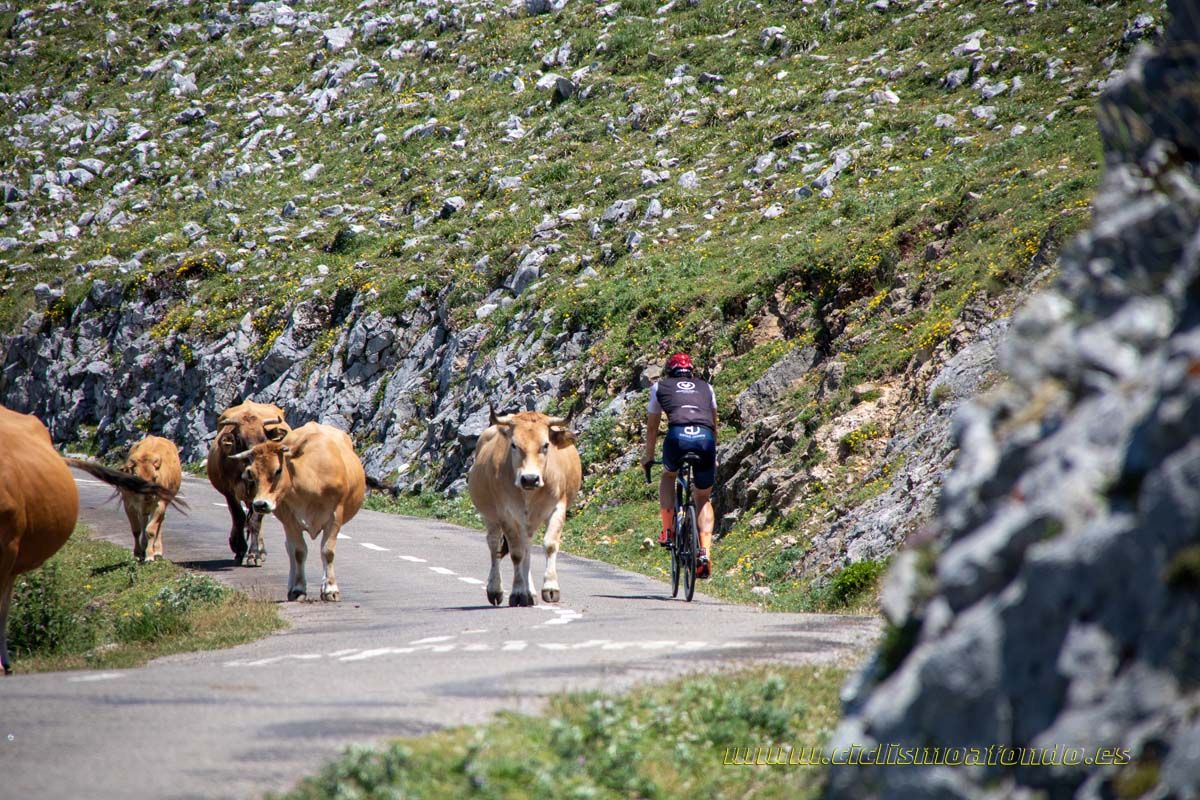 Clásica Cicloturista Angliru 2