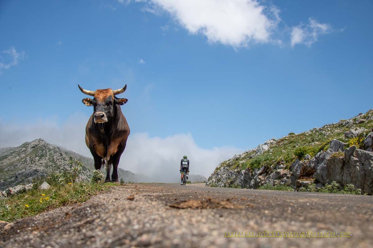 Clásica Cicloturista Angliru 4