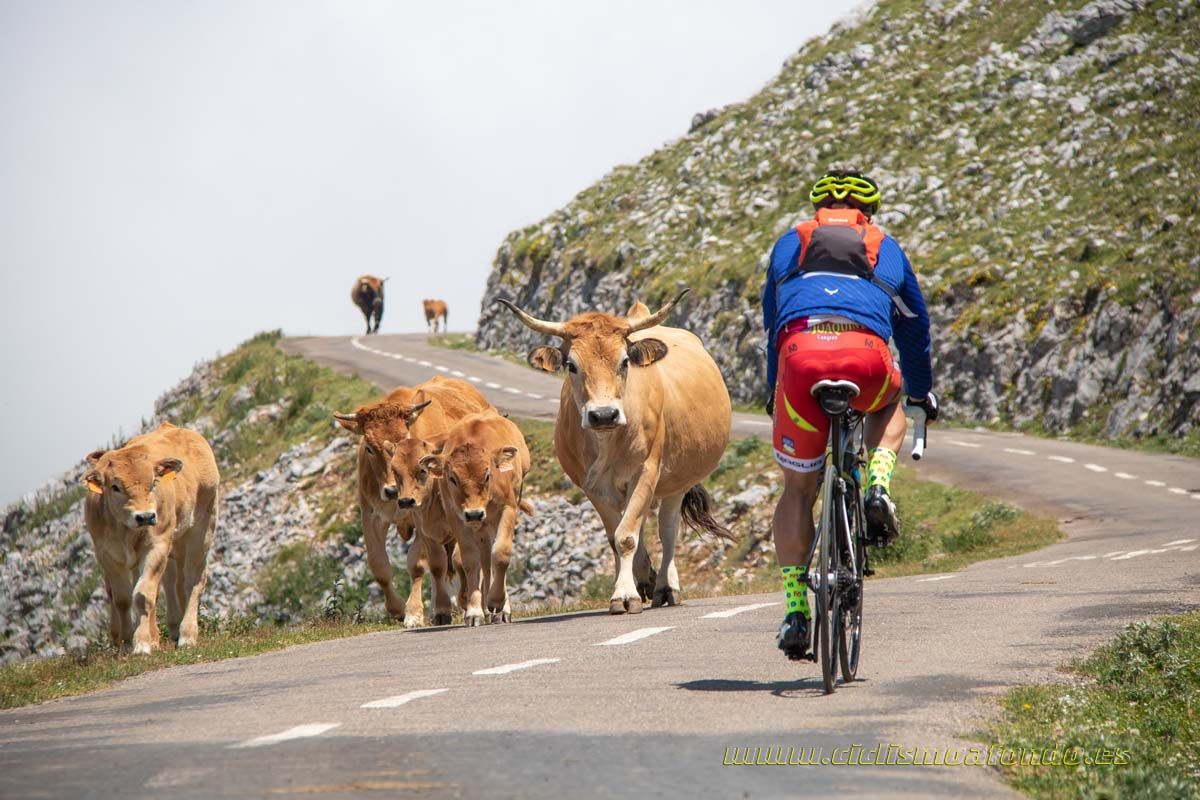 Clásica Cicloturista Angliru 2