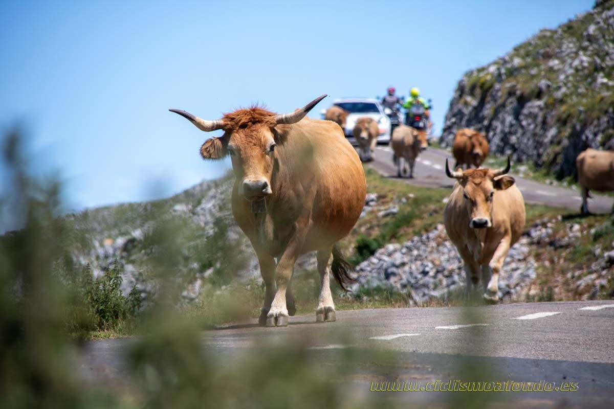 Clásica Cicloturista Angliru 2