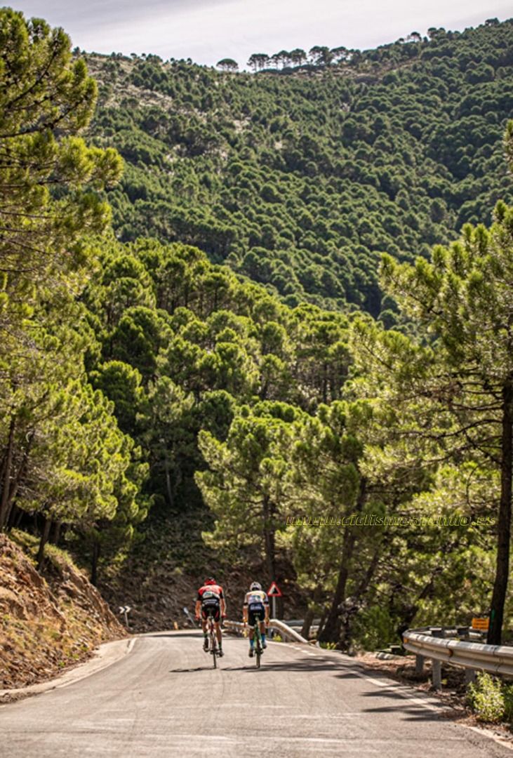 Gran Fondo Costa del Sol 2019-37