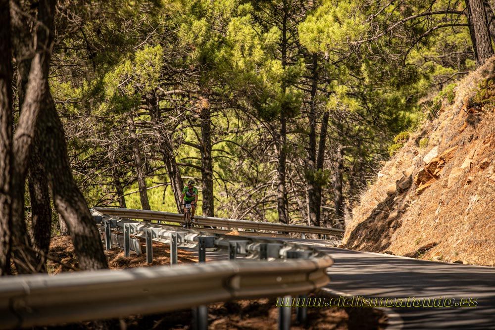 Gran Fondo Costa del Sol 2019-37