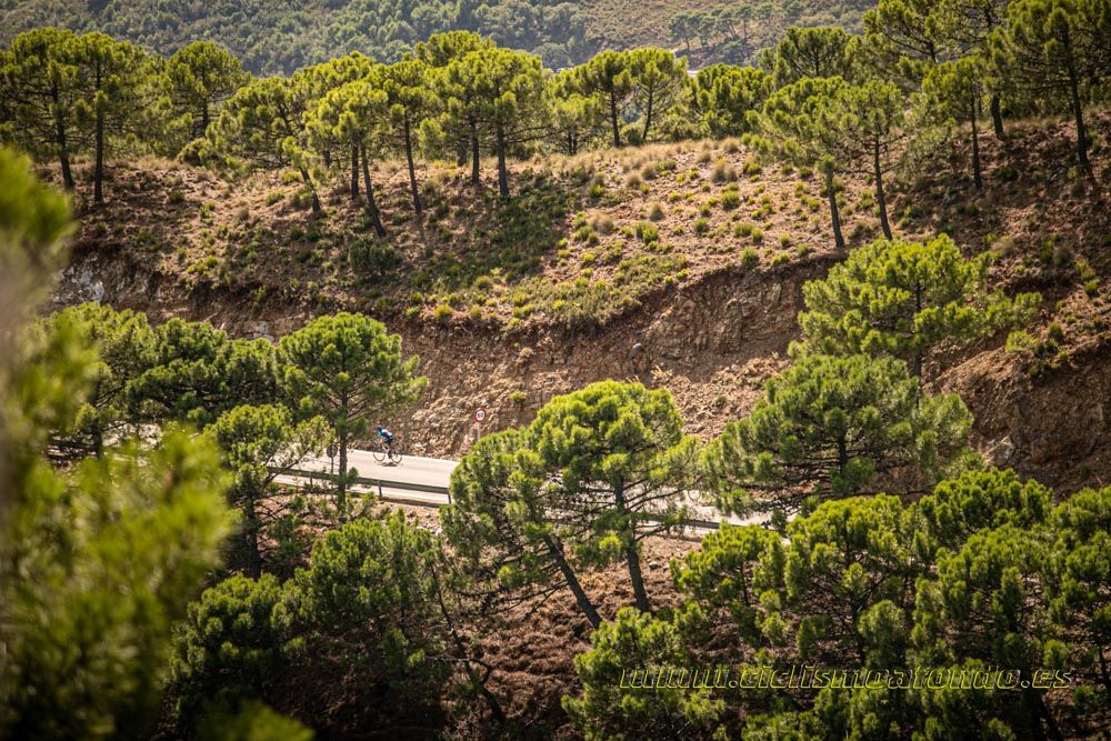 Gran Fondo Costa del Sol 2019-38