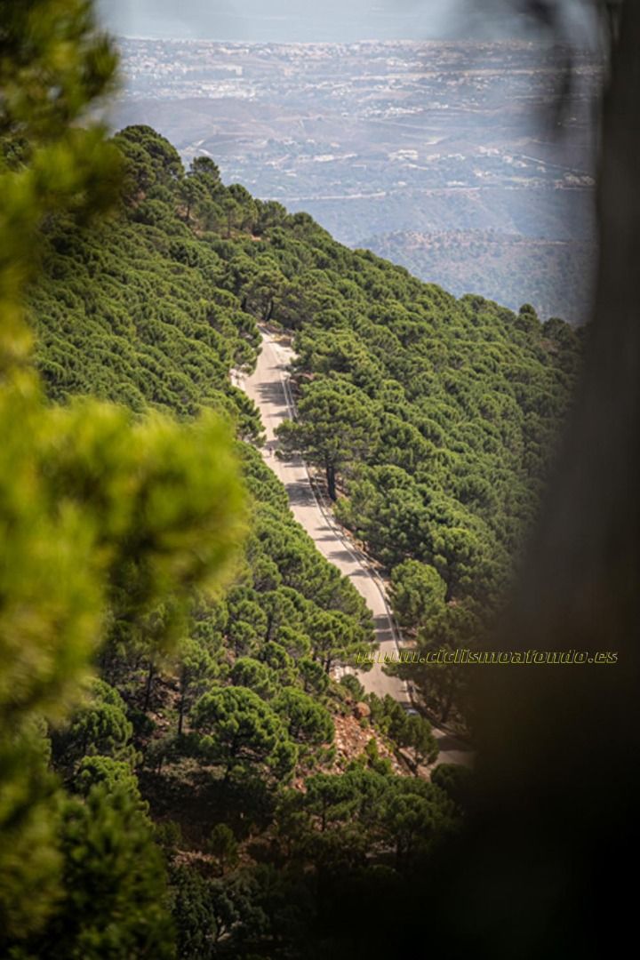 Gran Fondo Costa del Sol 2019-37