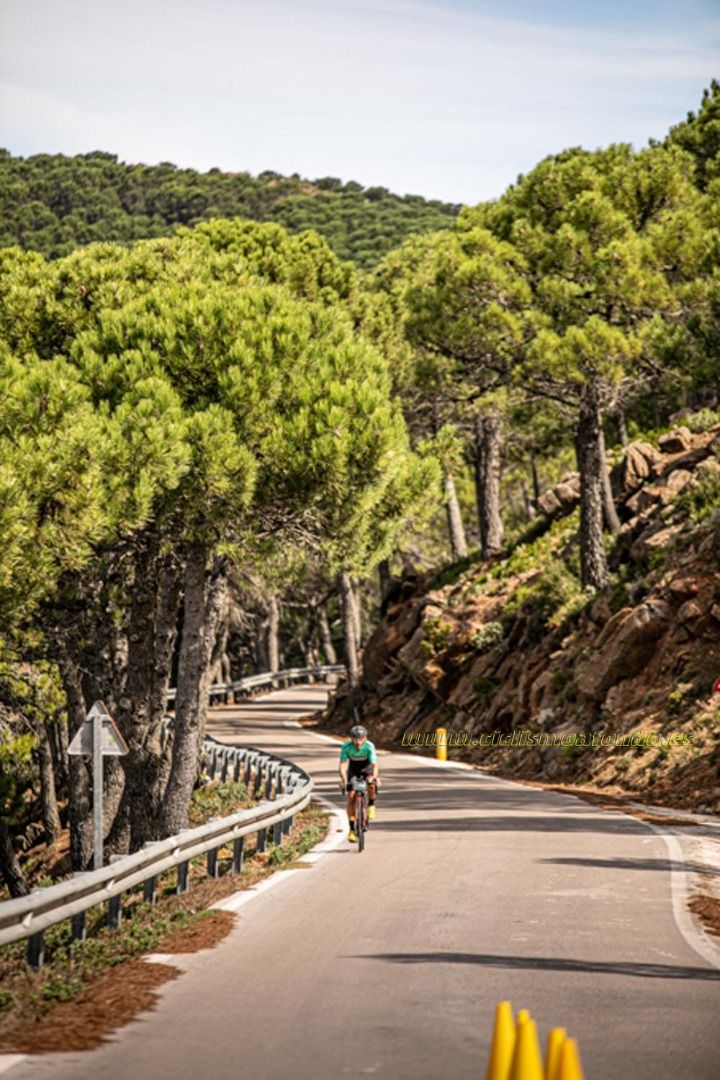 Gran Fondo Costa del Sol 2019-37