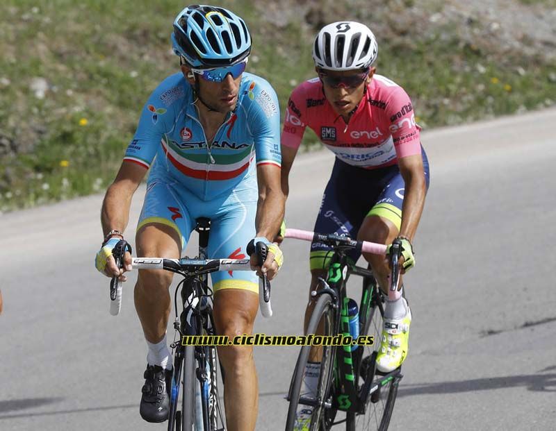 Las mejores imágenes de Vincenzo Nibali