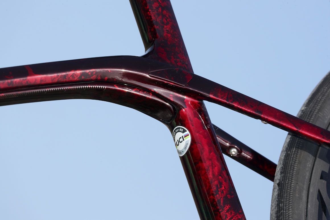 Así es la nueva Trek Domane