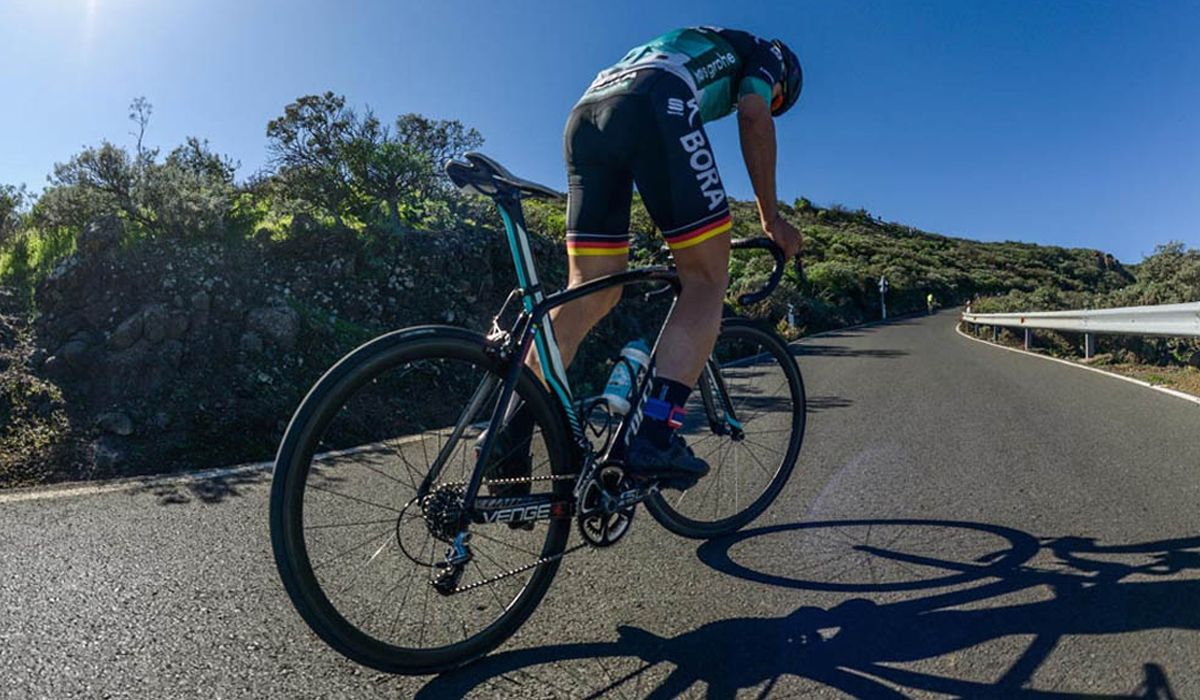 Entrenamiento de fuerza: aprovecha todo tu potencial