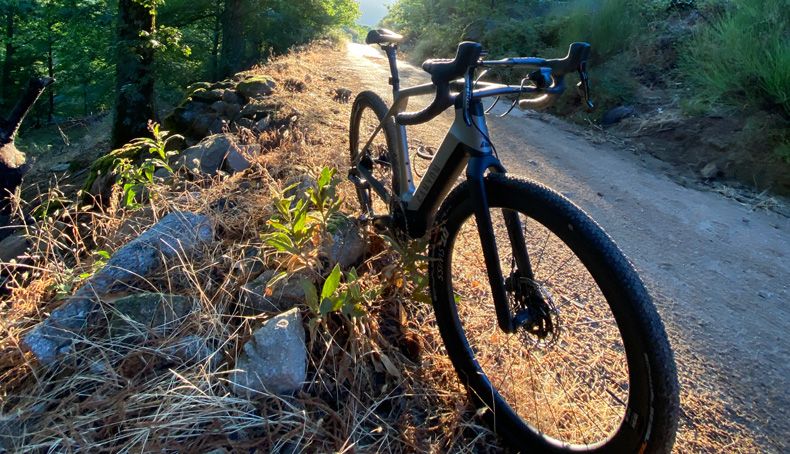 canyon grail on cf8 etap 8823 canyon grail on cf8 etap 8823