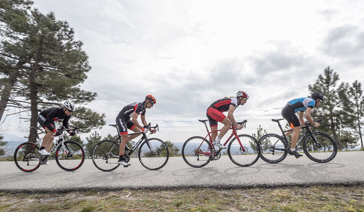 Entrenamiento: los detalles del entrenamiento de calidad