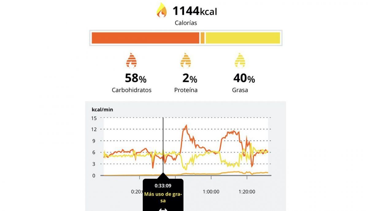 Polar Fuelwise durante un rodaje de 21 km con cambios de ritmo Polar Fuelwise durante un rodaje de 21 km con cambios de ritmo