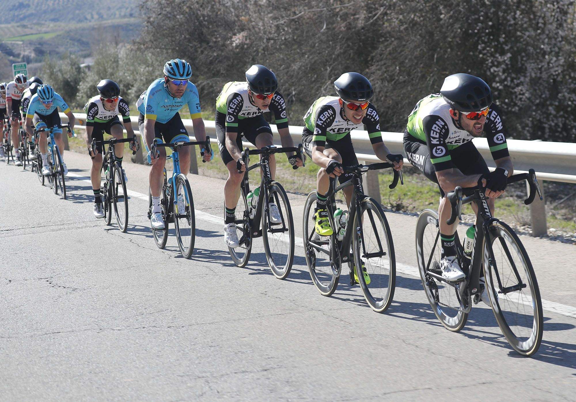 photogomez 0056894 1 medium