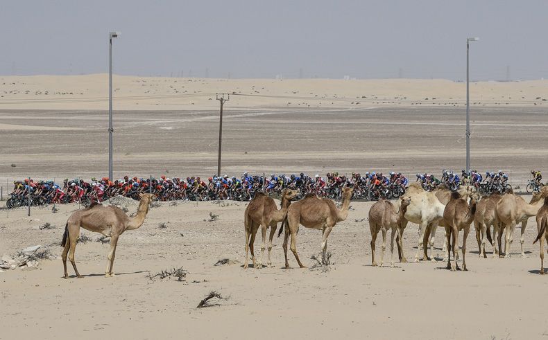 uae tour 3 uae tour 3