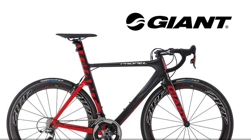 Catalogo de Giant