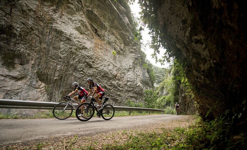 Transpyr se reinventa para 2016