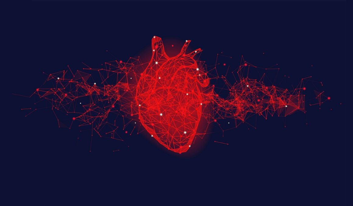 El silencioso corazón de los atletas