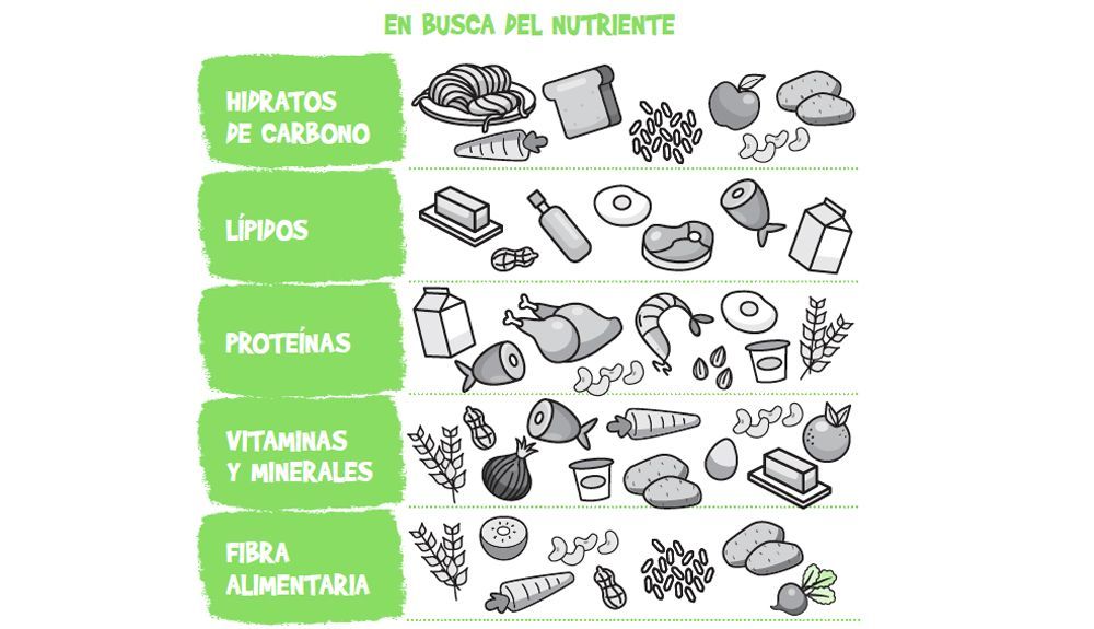 diagramas para comer bien