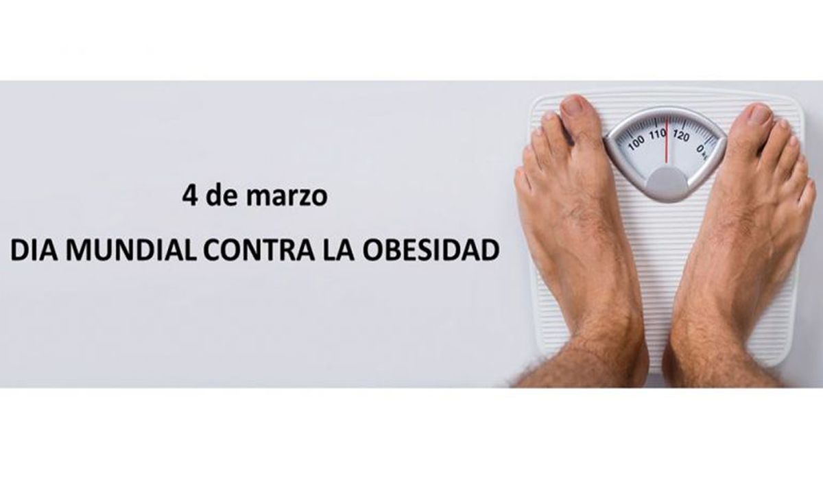 Cuatro expertos nos dan las claves contra la obesidad