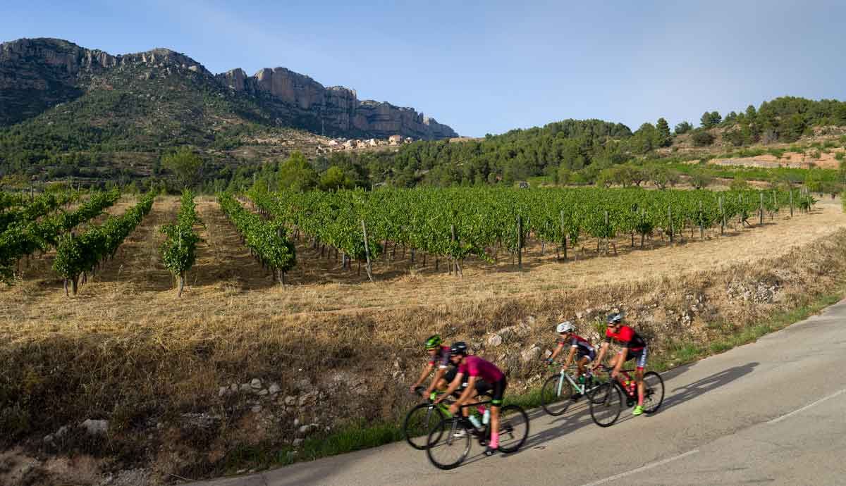 costa daurada carretera vinicola costa daurada carretera vinicola
