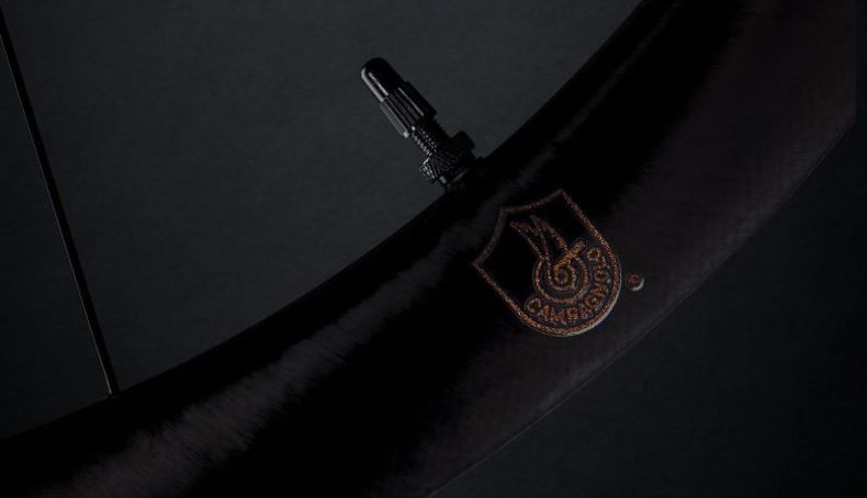 Detalle del logo Campagnolo junto a la válvula. Detalle del logo Campagnolo junto a la válvula.
