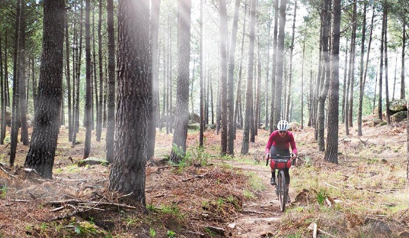 330 km con la focus atlas