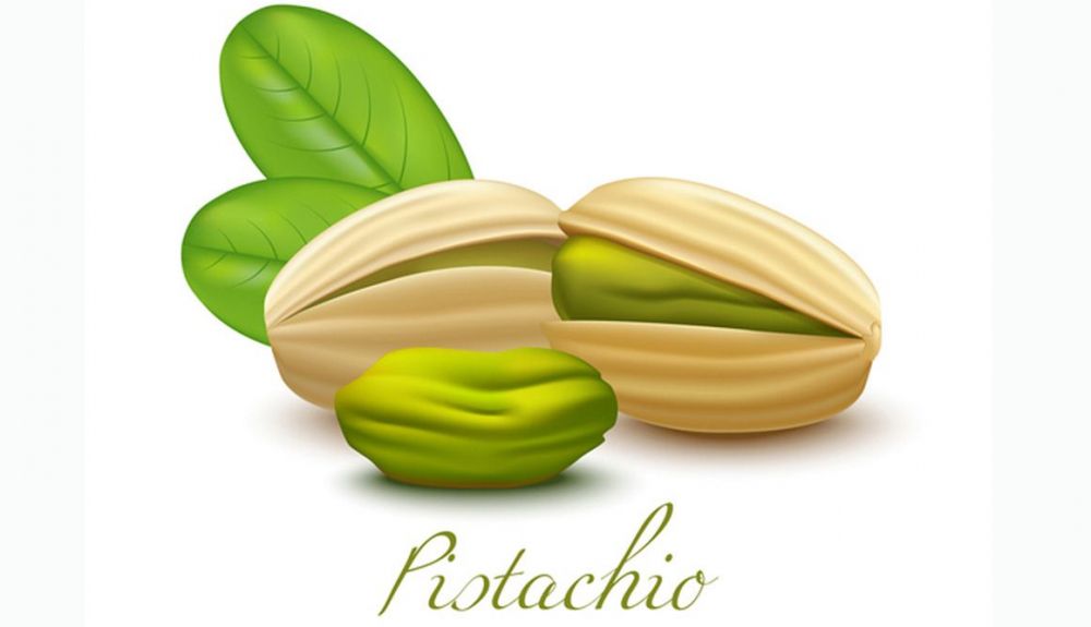 pistacho dibujo pistacho dibujo