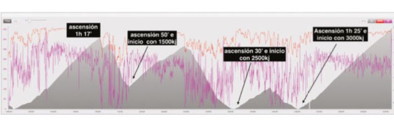 grafico 2 grafico 2